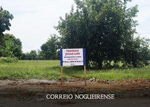 saiba-como-descartar-corretamente-entulho-e-restos-de-jardinagem-em-artur-nogueira-correio-nogueirense