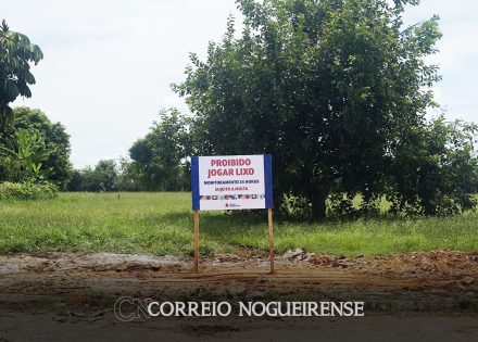 saiba-como-descartar-corretamente-entulho-e-restos-de-jardinagem-em-artur-nogueira-correio-nogueirense