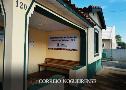 vacinacao-gratuita-de-caes-e-gatos-contra-a-raiva-acontecera-no-dep-bem-estar-animal-correio-nogueirense