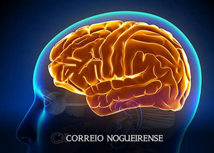 entenda-a-hidrocefalia-normobarica-causa-da-cirurgia-de-chico-buarque-correio-nogueirense