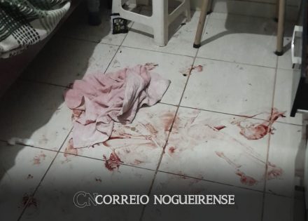 filho-em-saidinha-tenta-matar-a-propria-mae-na-regiao-central-de-artur-nogueira-correio-nogueirense