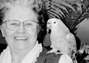 Sem nome (1140 x 815 px)_20250705_120811_0000