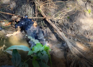 homem-e-encontrado-morto-dentro-de-corrego-no-parque-ester-em-cosmopolis-correio-nogueirense