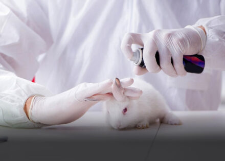 projeto-aprovado-na-camara-proibe-uso-de-animais-em-testes-cosmeticos-correio-nogueirense