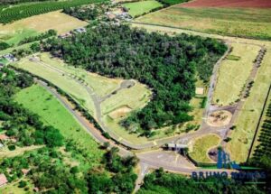 Sem nome (1140 x 815 px)_20250815_133754_0000