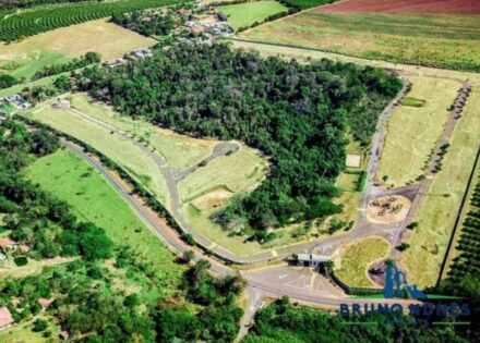 Sem nome (1140 x 815 px)_20250815_133754_0000