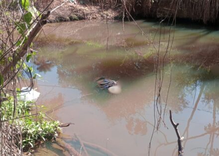 Sem nome (1140 x 815 px)_20250815_143849_0000