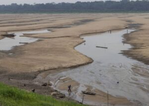 Sem nome (1140 x 815 px)_20250825_092349_0000