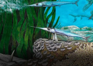 cientistas-brasileiros-identificam-nova-especie-de-peixe-pre-historico-correio-nogueirense