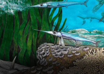 cientistas-brasileiros-identificam-nova-especie-de-peixe-pre-historico-correio-nogueirense