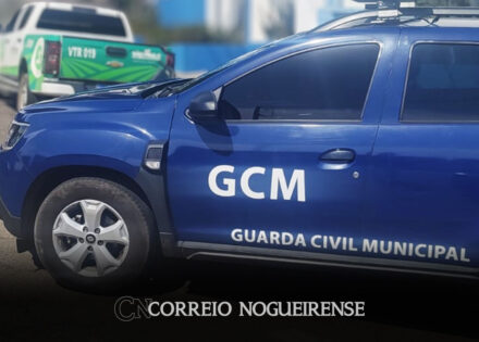 gcm-de-artur-nogueira-prende-homem-por-trafico-de-drogas-no-jardim-paineiras-correio-nogueirense-capa