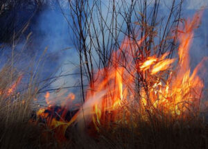 queimadas-sao-crime-e-podem-gerar-multas-de-ate-r-5-mil-em-artur-nogueira-correio-nogueirense