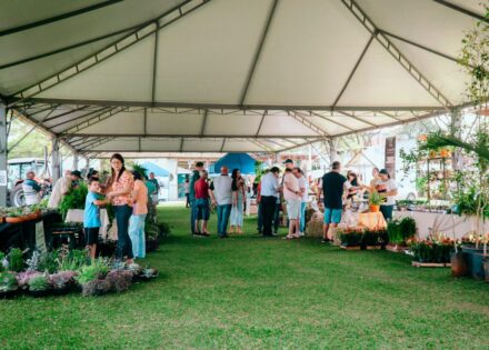 Sem nome (1140 x 815 px)_20250901_065140_0000