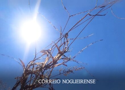 Sem nome (1140 x 815 px)_20250911_133107_0000