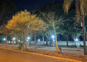 programa-de-modernizacao-chega-a-praca-do-jardim-ricardo-duzzi-com-novas-luminarias-em-led-correio-nogueirense