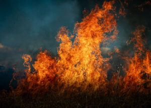 queimadas-em-artur-nogueira-podem-gerar-multas-de-ate-r-5-mil-correio-nogueirense