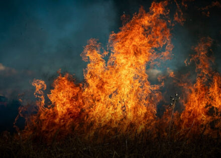 queimadas-em-artur-nogueira-podem-gerar-multas-de-ate-r-5-mil-correio-nogueirense