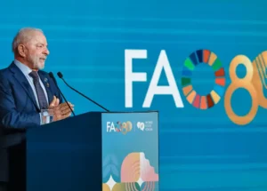 54852246563_80389d169c_o (1)