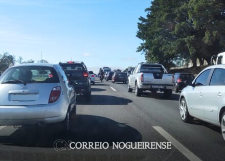 Sem nome (1140 x 815 px)_20251002_162250_0000