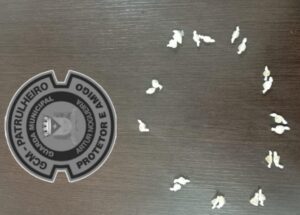 Sem nome (1140 x 815 px)_20251030_160903_0000