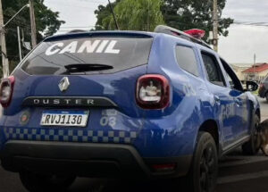 cao-lupy-ajuda-gcm-a-localizar-drogas-escondidas-dentro-de-residencia-em-artur-nogueira-correio-nogueirense