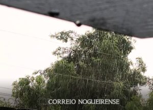 Design sem nome_20251122_150034_0000