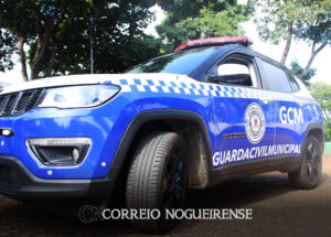 suspeito-e-detido-por-populares-apos-tentativa-de-furto-na-lagoa-dos-passaros-correio-nogueirense