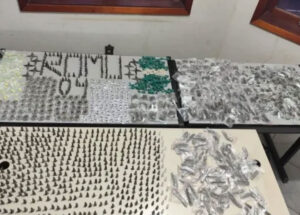 grande-quantidade-de-drogas-prontas-para-venda-sao-localizadas-pela-romu-no-cidade-alta-correio-nogueirense