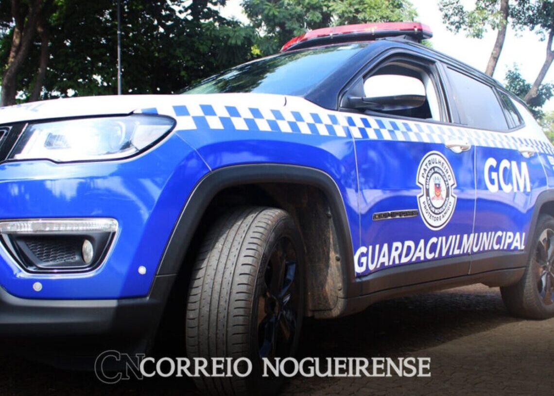 Design sem nome_20260202_090929_0000