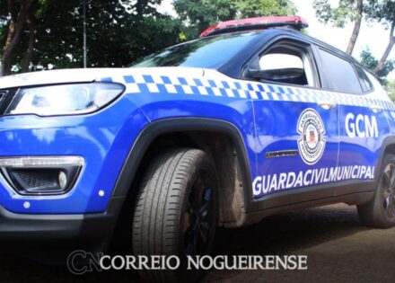 Design sem nome_20260202_090929_0000