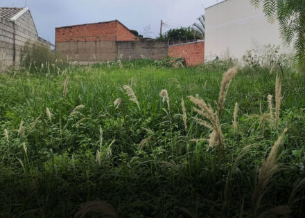 prefeitura-notifica-proprietarios-para-limpeza-de-terrenos-em-artur-nogueira-correio-nogueirense