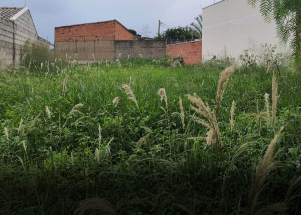 prefeitura-notifica-proprietarios-para-limpeza-de-terrenos-em-artur-nogueira-correio-nogueirense