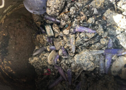 saean-alerta-sobre-descarte-irregular-na-lagoa-dos-passaros-e-anuncia-medidas-de-fiscalizacao-correio-nogueirense