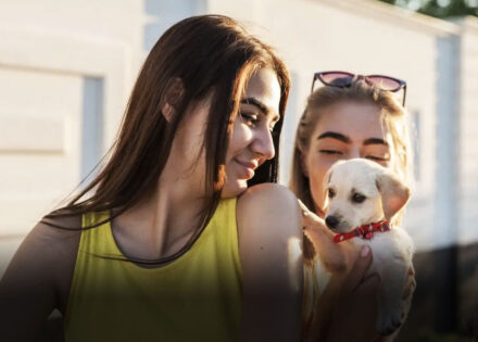 saiba-como-educar-criancas-e-adolescentes-para-respeitar-os-animais-correio-nogueirense