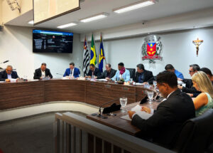 vereador-nao-executa-obras-entenda-o-que-e-funcao-do-legislativo-e-os-limites-da-lei-correio-nogueirense