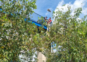 gcm-evita-suicidio-de-mulher-na-passarela-da-teka-em-artur-nogueira-correio-nogueirense-capa