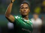 palmeiras-vence-botafogo-e-assume-lideranca-com-tropeco-do-sao-paulo-correio-nogueirense