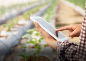 sebrae-abre-vagas-para-agentes-locais-de-inovacao-rural-na-regiao-correio-nogueirense