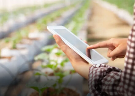 sebrae-abre-vagas-para-agentes-locais-de-inovacao-rural-na-regiao-correio-nogueirense