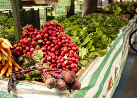 FEIRA ARTUR NOGUEIRA 2