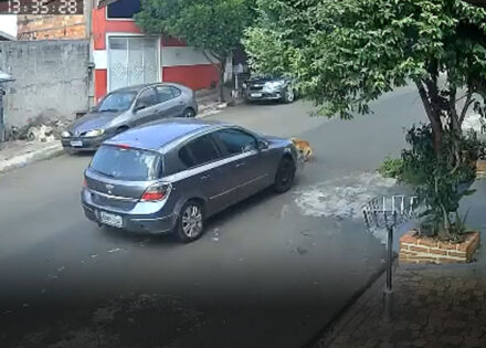 atropelamento-que-matou-cachorro-em-artur-nogueira-e-registrado-por-camera-de-seguranca-correio-nogueirense