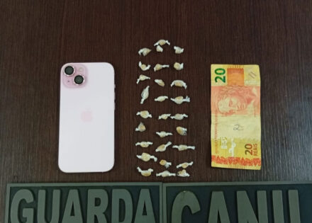 mulher-tenta-avisar-suspeito-sobre-a-presenca-da-romu-e-droga-e-apreendida-no-planalto-correio-nogueirense