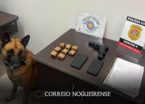 policia-civil-cumpre-mandados-e-apreende-drogas-no-residencial-sonho-meu-em-engenheiro-coelho-correio-nogueirense
