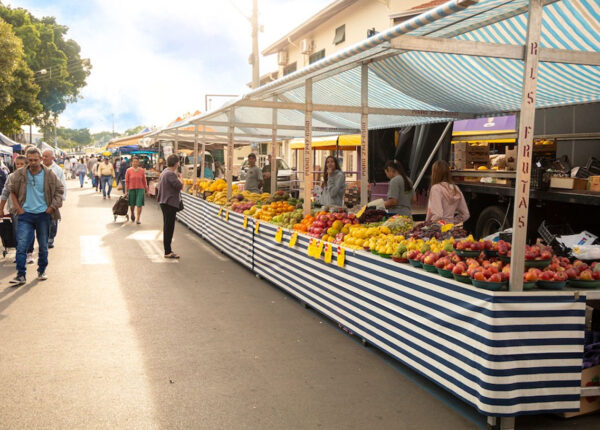 prefeitura-lanca-feira-do-produtor-rural-e-fortalece-agricultura-em-artur-nogueira-correio-nogueirense