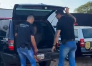 ultima-integrante-de-cla-do-trafico-e-presa-em-operacao-da-policia-civil-e-pm-em-engenheiro-coelho-correio-nogueirense
