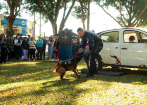 2a-feira-pet-de-artur-nogueira-acontece-neste-domingo-com-apresentacoes-de-canis-e-adocao-de-animais-correio-nogueirense