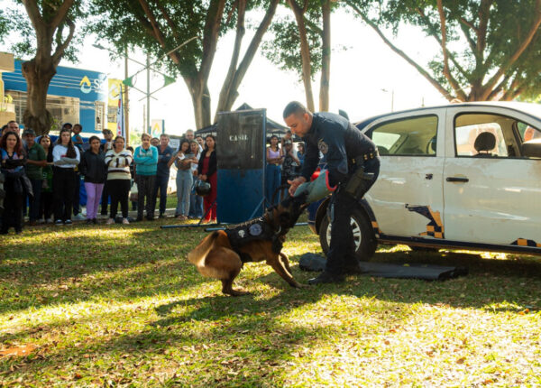 2a-feira-pet-de-artur-nogueira-acontece-neste-domingo-com-apresentacoes-de-canis-e-adocao-de-animais-correio-nogueirense