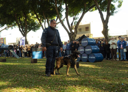 2a-feira-pet-de-artur-nogueira-tera-apresentacoes-de-canis-da-gcm-e-adocao-de-caes-e-gatos-correio-nogueirense