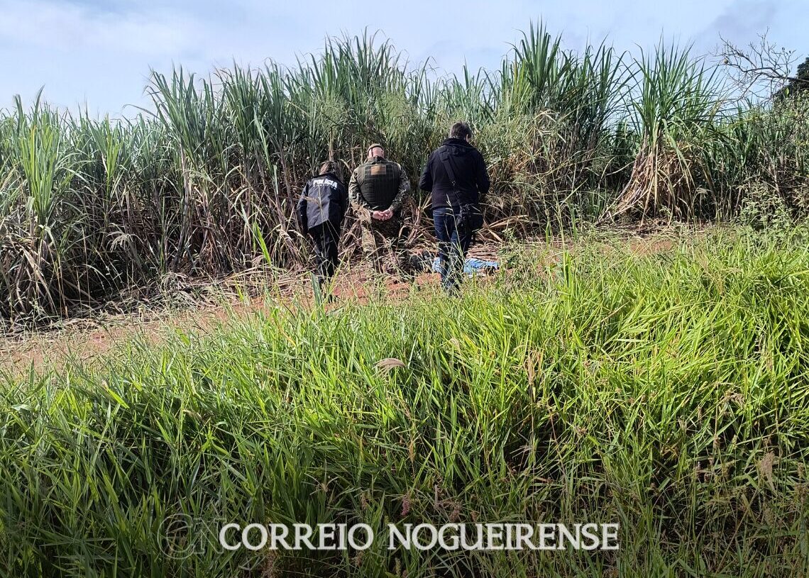 Design sem nome_20260511_095259_0000