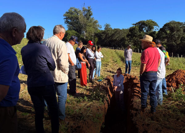 dia-de-campo-da-calagem-de-outono-orientara-produtores-rurais-em-artur-nogueira-correio-nogueirense